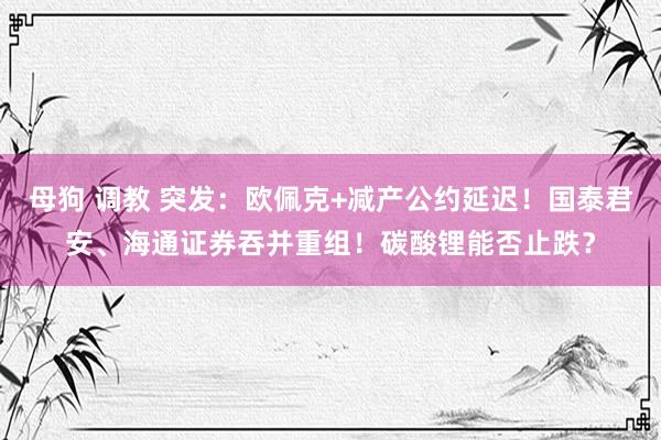 母狗 调教 突发：欧佩克+减产公约延迟！国泰君安、海通证券吞并重组！碳酸锂能否止跌？