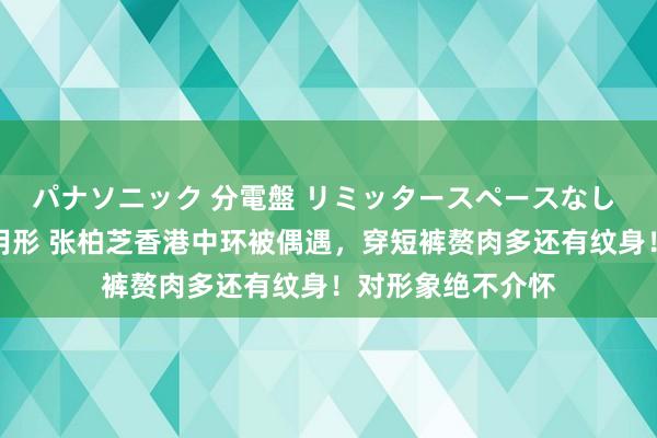 パナソニック 分電盤 リミッタースペースなし 露出・半埋込両用形 张柏芝香港中环被偶遇，穿短裤赘肉多还有纹身！对形象绝不介怀