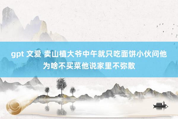 gpt 文爱 卖山植大爷中午就只吃面饼小伙问他为啥不买菜他说家里不弥散