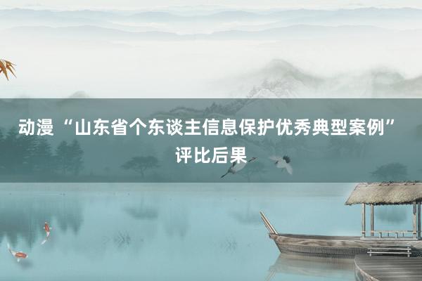 动漫 “山东省个东谈主信息保护优秀典型案例” 评比后果