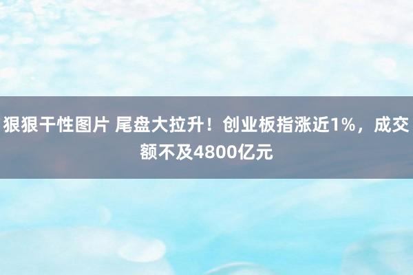 狠狠干性图片 尾盘大拉升！创业板指涨近1%，成交额不及4800亿元