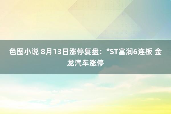 色图小说 8月13日涨停复盘：*ST富润6连板 金龙汽车涨停