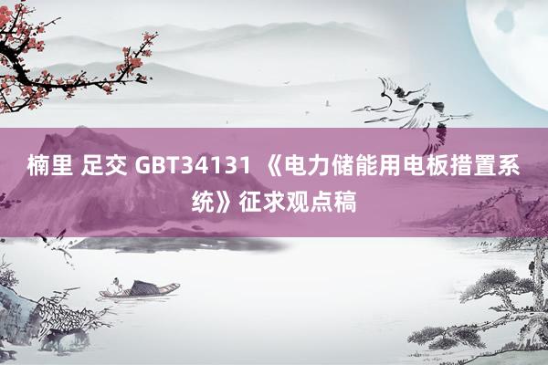 楠里 足交 GBT34131 《电力储能用电板措置系统》征求观点稿