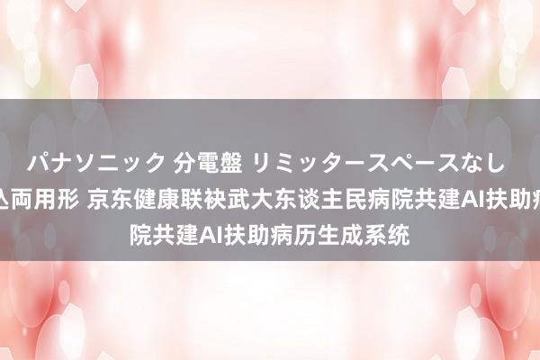 パナソニック 分電盤 リミッタースペースなし 露出・半埋込両用形 京东健康联袂武大东谈主民病院共建AI扶助病历生成系统