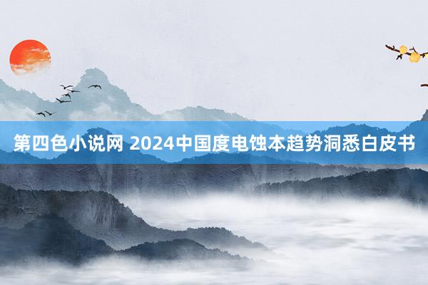 第四色小说网 2024中国度电蚀本趋势洞悉白皮书