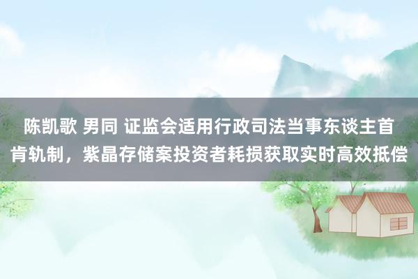 陈凯歌 男同 证监会适用行政司法当事东谈主首肯轨制，紫晶存储案投资者耗损获取实时高效抵偿