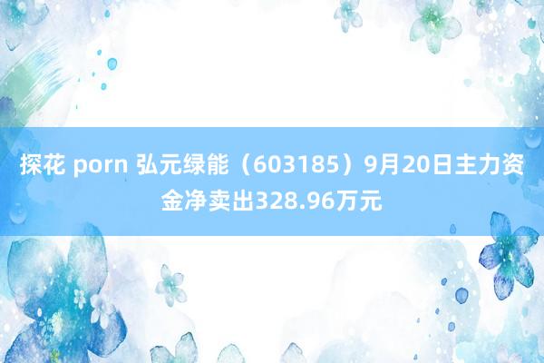 探花 porn 弘元绿能（603185）9月20日主力资金净卖出328.96万元