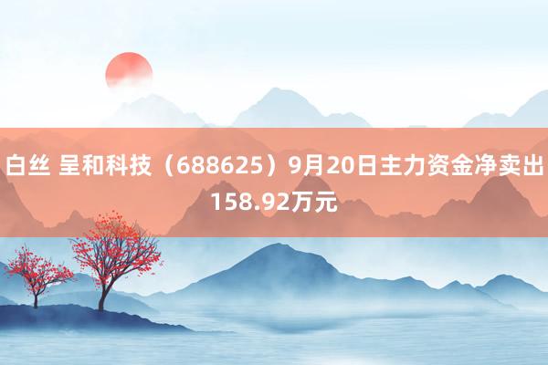 白丝 呈和科技（688625）9月20日主力资金净卖出158.92万元