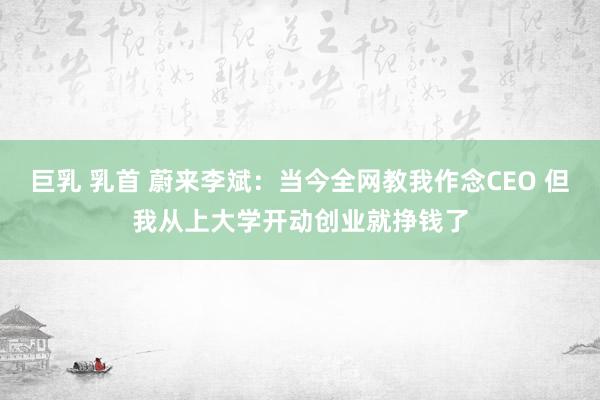 巨乳 乳首 蔚来李斌：当今全网教我作念CEO 但我从上大学开动创业就挣钱了