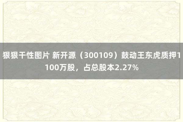 狠狠干性图片 新开源（300109）鼓动王东虎质押1100万股，占总股本2.27%