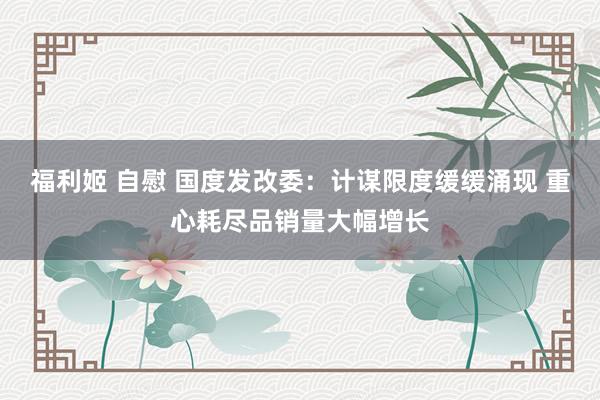 福利姬 自慰 国度发改委：计谋限度缓缓涌现 重心耗尽品销量大幅增长