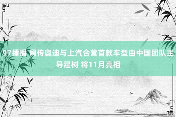 97播播 网传奥迪与上汽合营首款车型由中国团队主导建树 将11月亮相