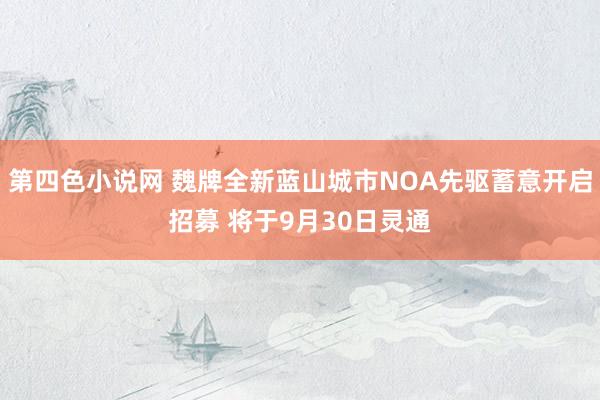 第四色小说网 魏牌全新蓝山城市NOA先驱蓄意开启招募 将于9月30日灵通