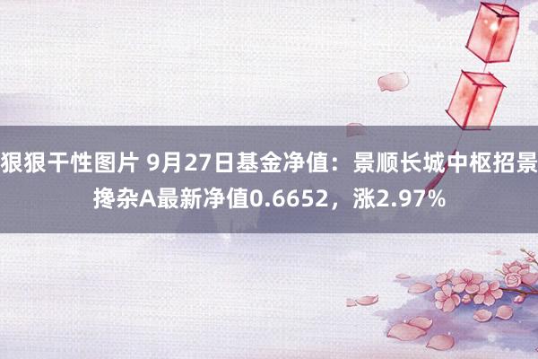 狠狠干性图片 9月27日基金净值：景顺长城中枢招景搀杂A最新净值0.6652，涨2.97%