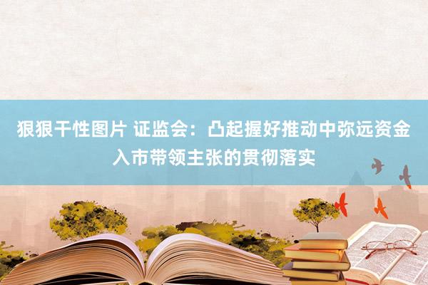 狠狠干性图片 证监会：凸起握好推动中弥远资金入市带领主张的贯彻落实