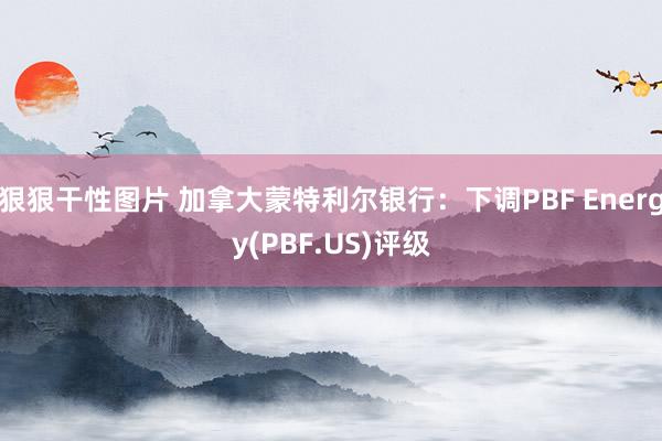 狠狠干性图片 加拿大蒙特利尔银行：下调PBF Energy(PBF.US)评级