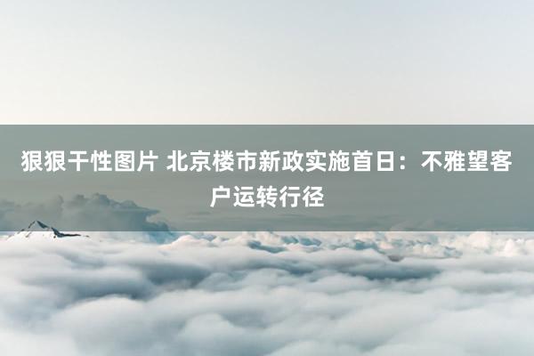 狠狠干性图片 北京楼市新政实施首日：不雅望客户运转行径