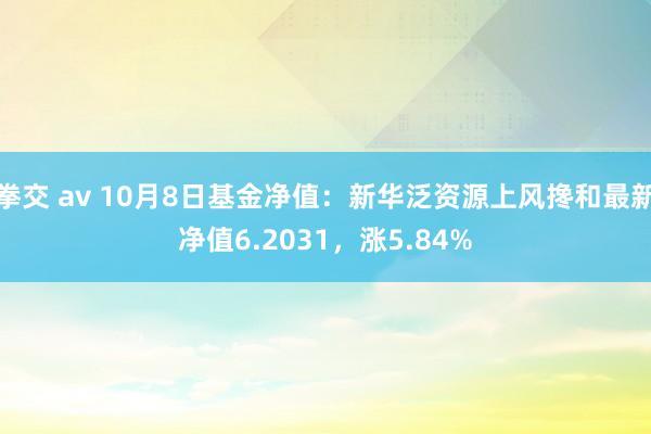 拳交 av 10月8日基金净值：新华泛资源上风搀和最新净值6.2031，涨5.84%