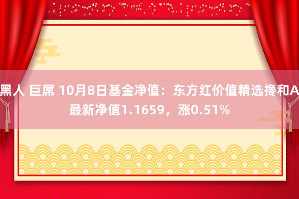 黑人 巨屌 10月8日基金净值：东方红价值精选搀和A最新净值1.1659，涨0.51%