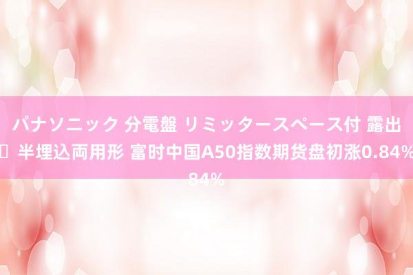 パナソニック 分電盤 リミッタースペース付 露出・半埋込両用形 富时中国A50指数期货盘初涨0.84%