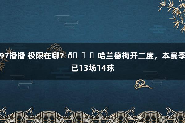 97播播 极限在哪？🚀哈兰德梅开二度，本赛季已13场14球