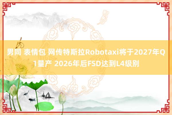 男同 表情包 网传特斯拉Robotaxi将于2027年Q1量产 2026年后FSD达到L4级别