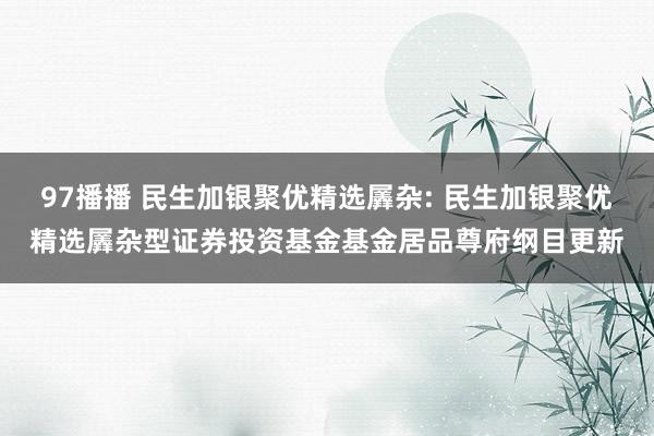 97播播 民生加银聚优精选羼杂: 民生加银聚优精选羼杂型证券投资基金基金居品尊府纲目更新