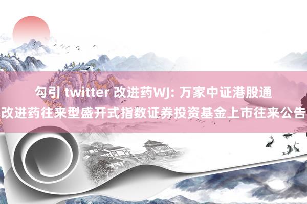 勾引 twitter 改进药WJ: 万家中证港股通改进药往来型盛开式指数证券投资基金上市往来公告