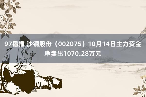 97播播 沙钢股份（002075）10月14日主力资金净卖出1070.28万元