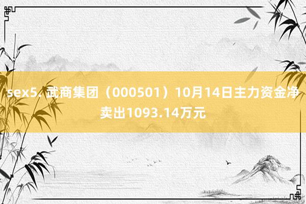 sex5. 武商集团（000501）10月14日主力资金净卖出1093.14万元