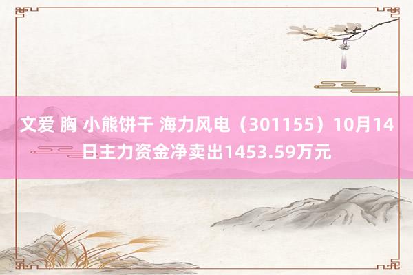 文爱 胸 小熊饼干 海力风电（301155）10月14日主力资金净卖出1453.59万元