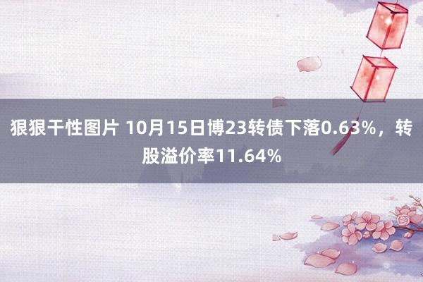 狠狠干性图片 10月15日博23转债下落0.63%，转股溢价率11.64%