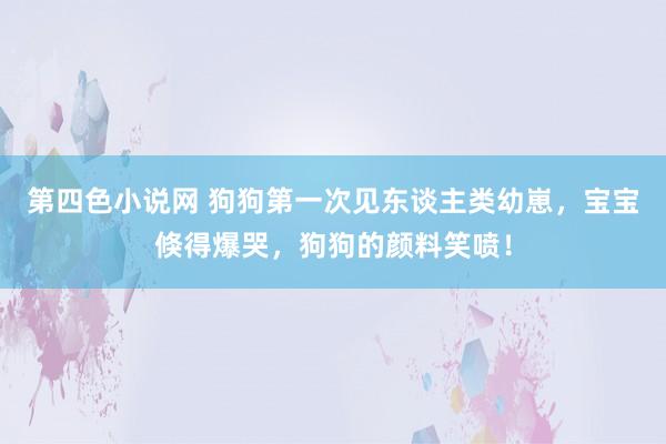 第四色小说网 狗狗第一次见东谈主类幼崽，宝宝倏得爆哭，狗狗的颜料笑喷！