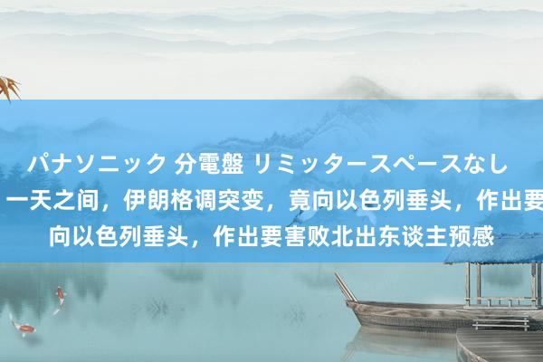 パナソニック 分電盤 リミッタースペースなし 露出・半埋込両用形 一天之间，伊朗格调突变，竟向以色列垂头，作出要害败北出东谈主预感