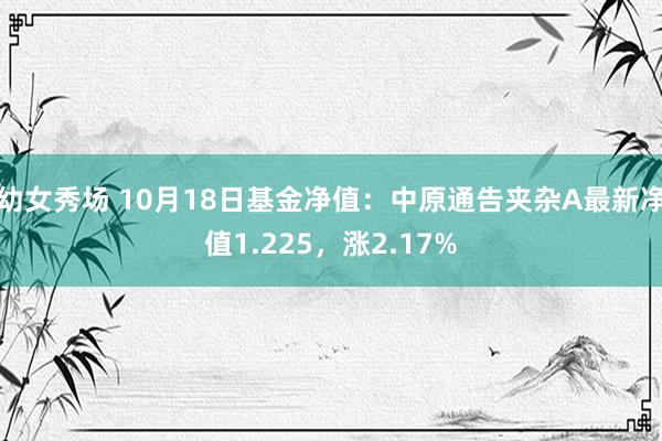 幼女秀场 10月18日基金净值：中原通告夹杂A最新净值1.225，涨2.17%