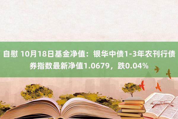 自慰 10月18日基金净值：银华中债1-3年农刊行债券指数最新净值1.0679，跌0.04%