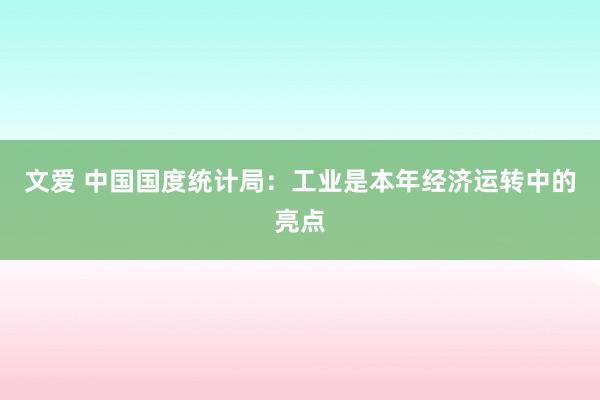 文爱 中国国度统计局：工业是本年经济运转中的亮点