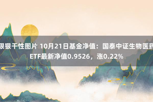 狠狠干性图片 10月21日基金净值：国泰中证生物医药ETF最新净值0.9526，涨0.22%