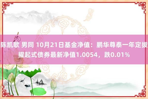 陈凯歌 男同 10月21日基金净值：鹏华尊泰一年定拔擢起式债券最新净值1.0054，跌0.01%