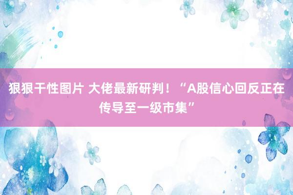 狠狠干性图片 大佬最新研判！“A股信心回反正在传导至一级市集”