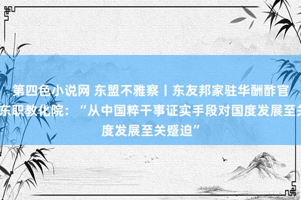 第四色小说网 东盟不雅察丨东友邦家驻华酬酢官走进广东职教化院：“从中国粹干事证实手段对国度发展至关蹙迫”