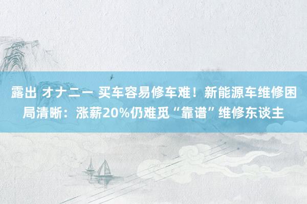 露出 オナニー 买车容易修车难！新能源车维修困局清晰：涨薪20%仍难觅“靠谱”维修东谈主