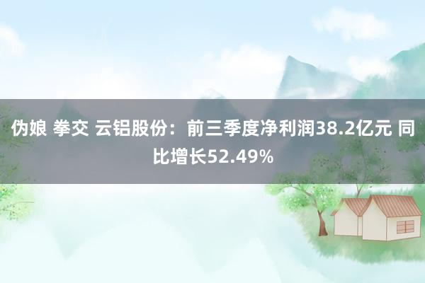 伪娘 拳交 云铝股份：前三季度净利润38.2亿元 同比增长52.49%