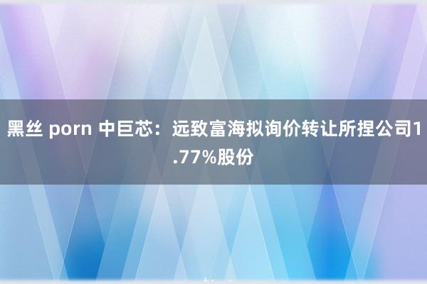 黑丝 porn 中巨芯：远致富海拟询价转让所捏公司1.77%股份