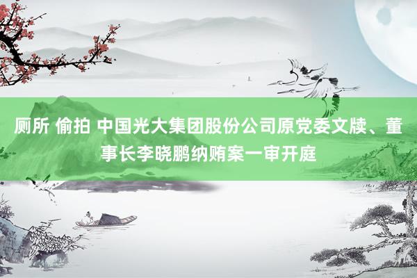 厕所 偷拍 中国光大集团股份公司原党委文牍、董事长李晓鹏纳贿案一审开庭