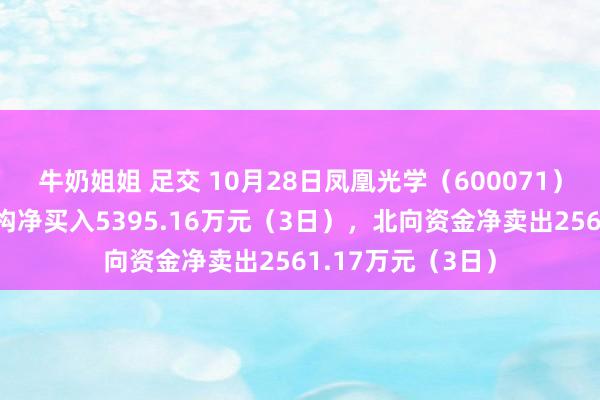 牛奶姐姐 足交 10月28日凤凰光学（600071）龙虎榜数据：机构净买入5395.16万元（3日），北向资金净卖出2561.17万元（3日）