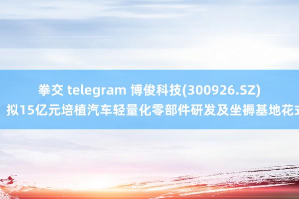 拳交 telegram 博俊科技(300926.SZ)：拟15亿元培植汽车轻量化零部件研发及坐褥基地花式