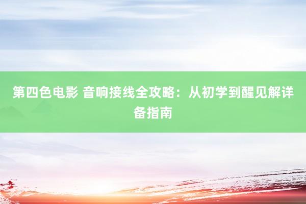 第四色电影 音响接线全攻略：从初学到醒见解详备指南