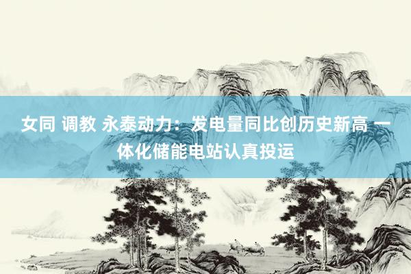 女同 调教 永泰动力：发电量同比创历史新高 一体化储能电站认真投运