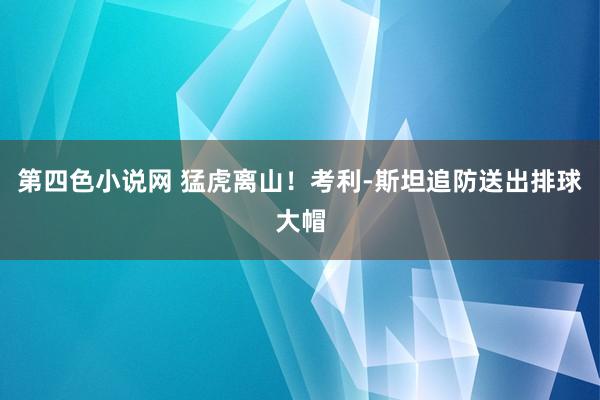 第四色小说网 猛虎离山！考利-斯坦追防送出排球大帽